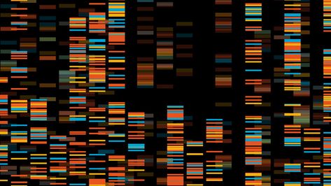 As We Democratize Biology, We Must Avoid Biologizing Democracy Dna Sequencing, Technology Roadmap, Dna Art, Genome Sequencing, Dna Sequence, Human Genome, Data Visualization Design, Molecular Biology, Naturopathy