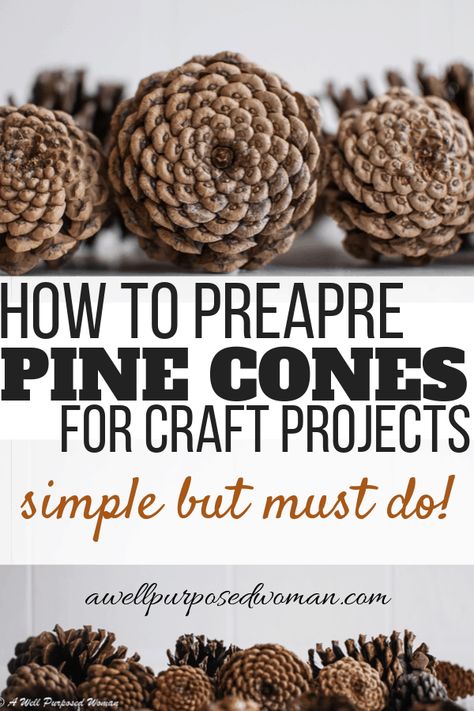 Pine Cone Christmas Decorations, Pinecone Crafts Kids, Pinecone Crafts Christmas, Painted Pinecones, Pine Cone Art, Diy Pinecone, Pine Cone Decorations, Cones Crafts, Pine Cone Crafts