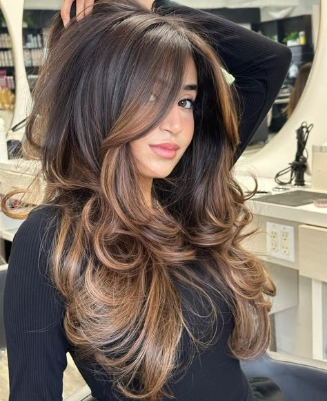 Rayos En El Cabello Oscuro, Rambut Brunette, Black Hair Balayage, Color For Black Hair, Honey Brown Hair, Brown Hair Looks, Brown Hair Inspo, Brunette Hair With Highlights, Hair Inspiration Long