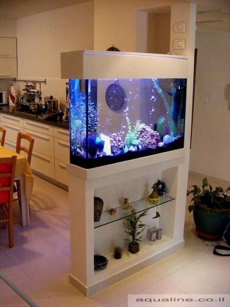 Available Again 👍🏻 #Click To Buy Midwest 28 Gallon Tropical AquaTable Aquarium Octagon #Amazon #Affiliate #7ColorsRooms 7ColorsRooms.com 🐡 aquarium in west direction fish tank in bedroom 100 gallon 50 gallon amazon sales firestick amazon amazon firestick amazon echo accessories amazon freetime aquarium ideas biorb fish tank tank tank 5gallon ideas clean light tanked creative betta aquascaping small tank fish ideas aquarium rainbow design antique aquarium aqu.. Wall Aquarium, Fish Tank Design, Aquarium Stand, Home Aquarium, Aquarium Design, Living Room Partition, Living Room Partition Design, Room Partition Designs, Design Room