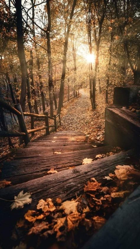 Pretty Landscapes, Autumn Scenes, Autumn Scenery, Positive Emotions, Fall Pictures, Pretty Wallpapers Backgrounds, Jolie Photo, Fall Wallpaper, Landscape Wallpaper