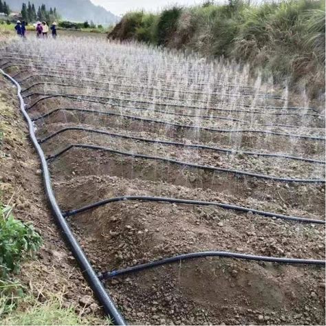 agriculture irrigation system farm irrigation sprinkler hose micro spray tape garden rain hose https://m.alibaba.com/product/1600303433211/agriculture-irrigation-system-farm-irrigation-sprinkler.html?__sceneInfo={"cacheTime":"1800000","type":"appDetailShare"} Irrigation System Diy, Sprinkler Hose, Greenhouse Farming, Water Irrigation, Lawn Alternatives, Sprinkler Irrigation, Small Vegetable Gardens, Garden Farm, Water Sprinkler