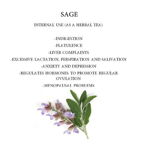 Salvia, the latin name for sage, means “to heal”. The use of sage as a fertility drug dates back to ancient Egypt. The herb can be consumed orally by eating the dried leaves. Do not use during pregnancy. . . 

Do follow and stay tuned for more such wonderful herbal tea benefit pins to create your own tea corner at home.

#sage #benefits #health #herbalmedicine #ancient #essentialoil #sageoil #stressrelieving #goodsleep Benefits Of Sage Tea, Salvia Benefits, Sage Tea Benefits, Selfcare Recipes, Pregnancy Herbs, Tea Corner, Sage Benefits, Herbal Tea Benefits, Tea Remedies