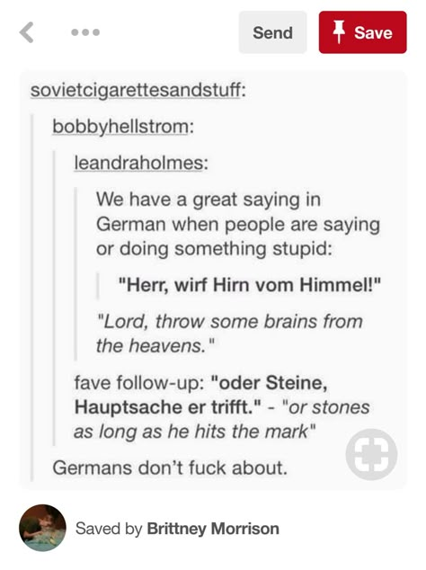 Gotta love the Germans. Where else would you get the saying "Lord, throw some brains down from the heavens... Or rocks, as long as the aim's good!" Curse Words In German, German Curse Words, German Proverbs, German Memes Hilarious, Grammar Memes Humor, Religious Memes Humor, Cuss Words, German Language Learning, Funny Pagan Memes