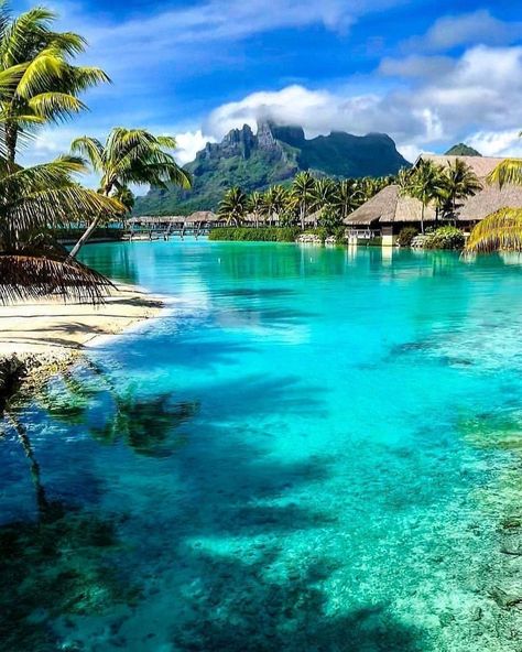 Travel 🌍Nature🌳 Animals🦁’s Instagram post: “❤Double tap if you love the clear water! - 😍Bora Bora, French Polynesia - 📸: @alammari” Bora Bora Pictures, Papeete Tahiti, Bora Bora Honeymoon, Dream Vacations Destinations, Wallpaper Space, Vacation Pictures, Vacation Places, Romantic Travel, Bora Bora