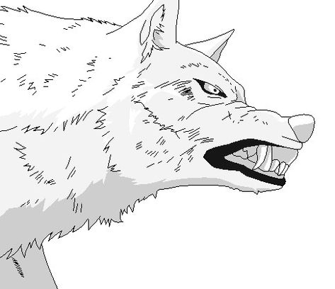 Wolf Drawing, Canine Art, Warrior Cat, Character Description, Drawing Tools, Animal Drawings, Graphic Novel, Art Style, Moose Art