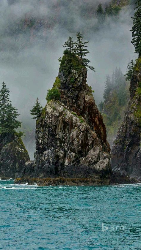 The Cove of Spires in Kenai Fjords National Park, Seward Alaska Kenai Alaska, Lock Screen Photo, Alaska Summer, Alaska Photography, Earth Fairy, Seward Alaska, Kenai Fjords National Park, Alaska Vacation, Kenai Fjords