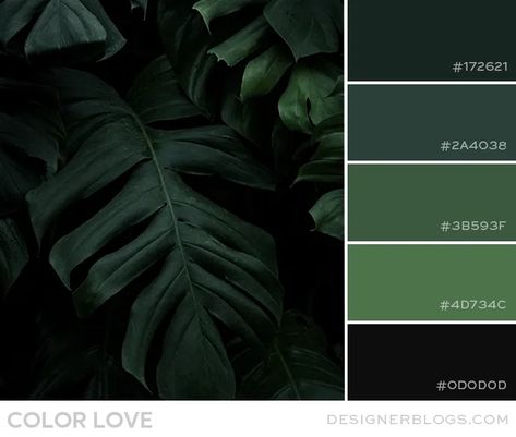 Dark Green Wall Color Palette, Dark Green Colors Palette, Forest Green And Black Color Palette, Green And Black Pallet, Emerald Green And Black Color Palette, Green Masculine Aesthetic, Pthalo Green Color Palette, Dark Green Color Pallette, Dark Website Color Palette