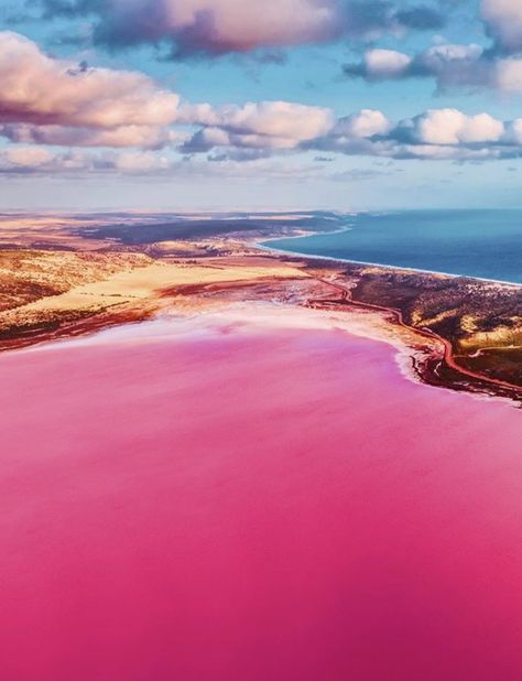 Pink Lake is a salt lake in the Goldfields-Esperance region of Western Australia.  📸@hobopeeba/IG #pink #lake #australiatravel Pink Lake Australia, Hutt Lagoon, Pink Lagoon, Western Australia Travel, Pink Lake, Pink Ocean, Travel Deals, Australia Travel, Travel And Leisure