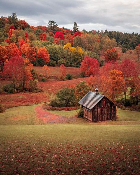 Green Mountains Vermont, Western Borders, Lily Garden, New England States, Green Mountains, New England Fall, Lake Champlain, Autumn Magic, The United States Of America