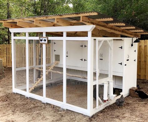 Open Concept Chicken Coop, Tall Chicken Coop Diy, Rectangle Chicken Coop, Bottom Of Chicken Coop, Square Chicken Coop, Diy Chicken Coop Inside, Chicken Coop For 15 Chickens, Chicken Coop Enclosure, Low Cost Chicken Coop