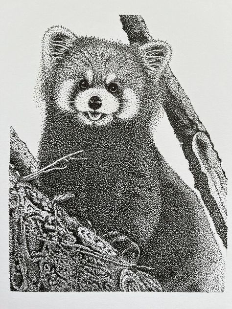 Original Stippling Art Of Red Panda  | eBay Red Panda Drawing, Panda Drawing, Stippling Art, Drawing Projects, Stippling, Red Panda, Endangered Species, White Card, Animal Lovers