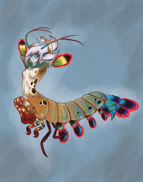 - Peacock Mantis Shrimp - by ~Kanti-Kane on deviantART Shrimp Mermaid, Peacock Mantis Shrimp, Mer People, Fish People, Mantis Shrimp, Aquatic Creatures, Like Drawing, Fashion Goals, Fantasy Races