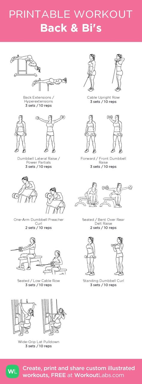 Back And Bi Workout, Bi Workout, Back And Bis, Workout Labs, Printable Workout, Gym Plan, Exercise Plan, Printable Workouts, Heath And Fitness