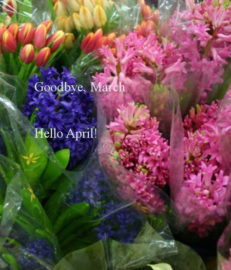 Bye March Goodbye March Hello April, Goodbye March, Persian New Year, Green Wheat, Hello April, Green World, Spring Has Sprung, Azerbaijan, Months In A Year