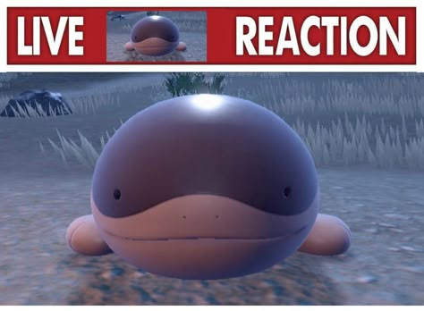 clodsire looks at screen Live Reaction, Pokemon Memes, Pokemon Funny, Silly Images, Pokemon Games, My Pokemon, Catch Em All, Silly Pictures, Pokemon Pictures