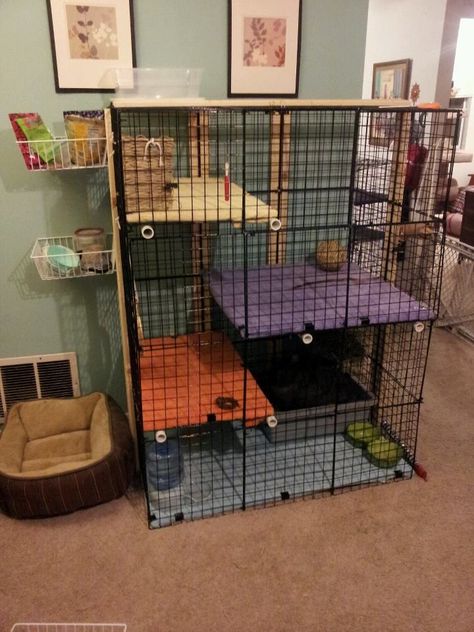 Diy Indoor Rabbit Cages Rabbit cage cubes diy condo Diy Bunny Cage, Bunny Homes, Diy Rabbit Cage, Pet Enclosures, Indoor Rabbit Cage, Bunny Cage, C&c Cage, Ferret Cage, Bunny Hutch