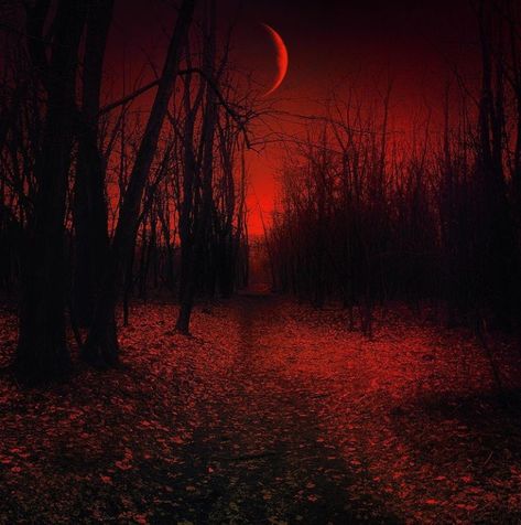 Dark Red Forest Aesthetic, Dark Plugg Aesthetic, Red River Aesthetic, Red Ghost Aesthetic, Red Hour Aesthetic, Red Forest Aesthetic, Red Ghost, Red Aesthetic Grunge, Black Vampire