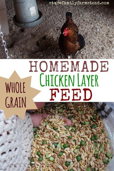 Chicken Layer Feed, Organic Chicken Feed, Layer Feed, Urban Chicken Farming, Portable Chicken Coop, Chicken Feeders, Urban Chickens, Backyard Chicken Farming, Best Chicken Coop