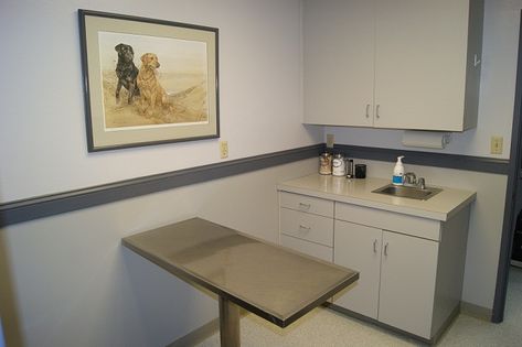 Veterinarian patient room Veterinary Consult Room, Hospital Floor Plan, Hospital Tour, Vet Medicine, Pet Clinic, Vet Clinics, Veterinary Clinic, Waiting Area, Clinic Design