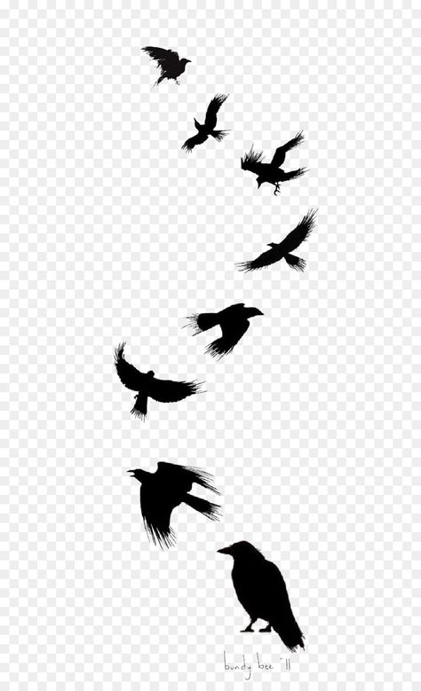 Bird Tattoo Drawing, Crow Png, Black Crow Tattoos, Geometric Tattoo Bird, Common Raven, Crow Silhouette, Crows Drawing, Crow Tattoo Design, Vogel Silhouette