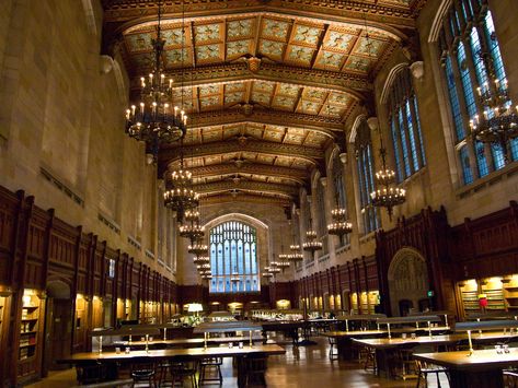 Notre Dame Law School, Old Academia Aesthetic, Osgoode Hall Law School, Library Reading Room, Most Beautiful Libraries, Libraries Around The World, Cheerleading Pyramids, St Genevieve, Beautiful Libraries