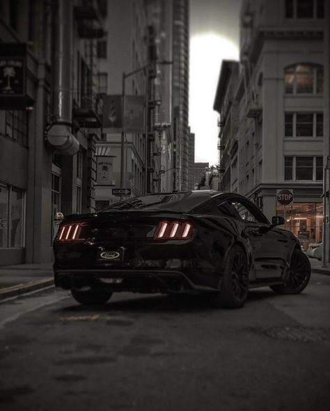 Mustang Astetic, Black Mustang Aesthetic, Ford Mustang Aesthetic, Silver Mustang, Black Mustang Gt, Bugatti Centodieci, Ford Mustang Wallpaper, Shelby Gt 500, Black Mustang