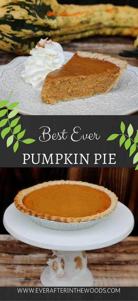 easiest way to make pumpkin pie frozen crust #pumpkinpie #pumpkin #bestthanksgivingdessert #pie #easythanksgivingdessert Pumpkin Pie With Condensed Milk, Pie With Condensed Milk, Easy Pumpkin Pie Recipe, Frozen Pumpkin Pie, Pumpkin Pie Crust, Best Pumpkin Pie Recipe, Pumpkin Pie Recipe Easy, Fun Thanksgiving Desserts, Frozen Pie Crust