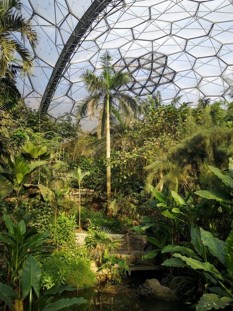 The Eden Project Cornwall, Eden Project Cornwall, Eco Aesthetic, Human Technology, Cornwall Garden, Magic Of Pegasus, The Eden Project, Tropical Greenhouses, Town And Country Magazine