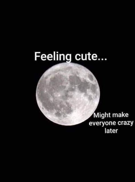 Funny but true Full Moon Quotes, Cheater Quotes, Moon Madness, Full Moon Tonight, Nurse Jokes, Moon Quotes, Funny Feeling, Medical Humor, Finding Your Soulmate