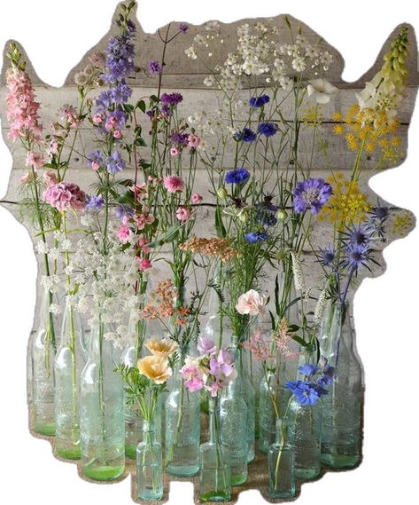 Vintage bottles with wild wedding flowers Wild Wedding Flowers, Wild Wedding, Living Room Cozy, Home Backyard, Spring Wedding Decorations, Garden Home Decor, Antique Glass Bottles, Alpine Plants, Room Cozy