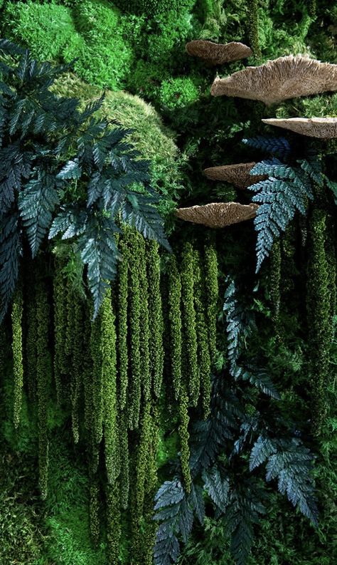 Moss Astetic, Indoor Moss Garden, Preserve Moss, Moss House, Moss Aesthetic, Mos Wand, Natural Wall Decor, Backyard Patio Ideas, Green Wall Design