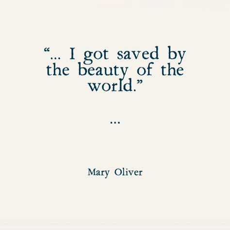 Mary Oliver Quotes, Delicious Quotes, Poems And Quotes, Mary Oliver, Beauty Of The World, Literature Quotes, Literary Quotes, Quotable Quotes, Love Words