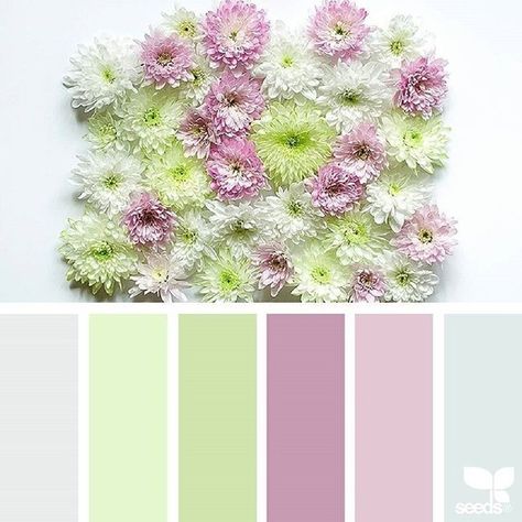 Seeds Color Palette, Colour Magic, Today's Inspiration, Fashion Sketching, Colour Guide, Seeds Color, Color Concept, Colour Pallets, Colour Mixing