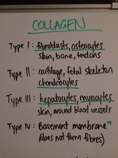 Histology Study Tips, Histology Notes, Anatomy And Physiology 1, Collagen Types, Medicine School, Histology Slides, Medical Assistant Student, Oral Pathology, Dental Hygiene Student