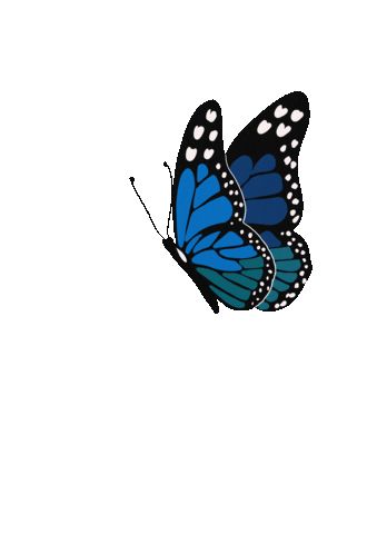 Butterfly Gif, Cute Mobile Wallpapers, Love Heart Gif, Bridal Photography Poses, Beautiful Butterfly Photography, Heart Gif, First Animation, Funny Shirts Women, Cute Couple Images