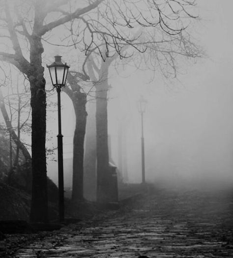 FB Gothic and fantasy art..Places Vintage Foto's, Foggy Day, Course In Miracles, A Course In Miracles, 다크 판타지, The Mist, Dark Places, The Fog, Dark Photography