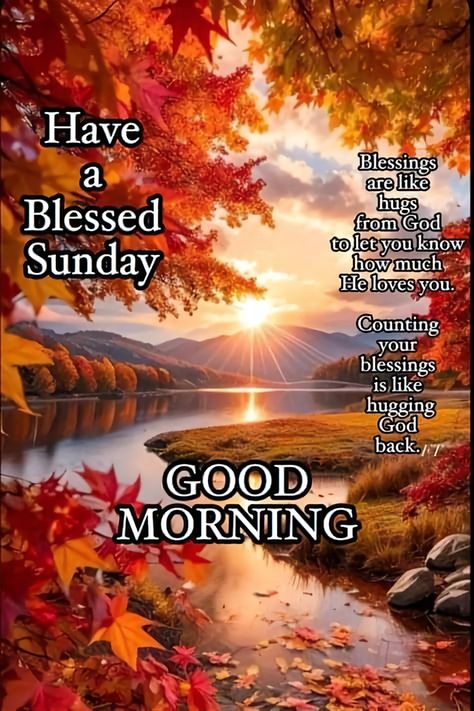 Good Morning Blessings Inspiration Beautiful, Sunday Morning Pics, Sunday Morning Quotes, Sunday Greetings, Good Sunday Morning, Have A Great Sunday, Good Morning Spiritual Quotes, Blessed Sunday, Bless The Lord