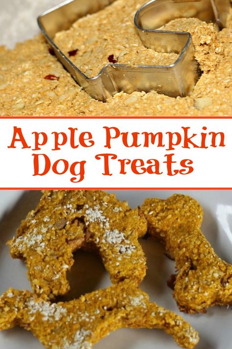 Dehydrated Pumpkin, Bone Recipes, Dog Treats Homemade Pumpkin, Animal Treats, Christmas Dog Treats, Dog Treats Homemade Easy, Easy Dog Treat Recipes, Pumpkin Treats, Dog Treats Grain Free