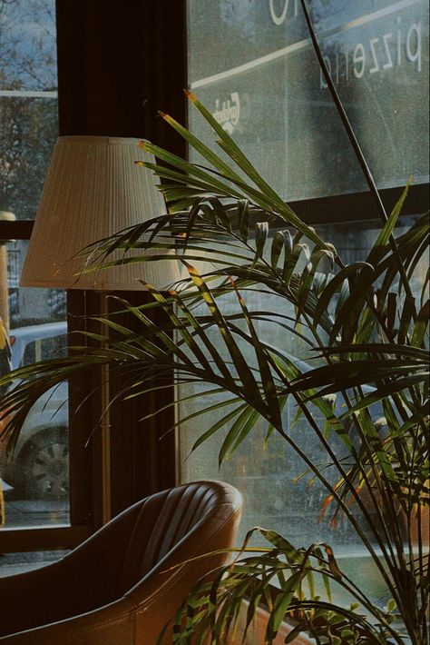 Brown Restaurant Aesthetic, Coffee Plant Aesthetic, Dark Green Coffee Shop, Green Coffee Shop Aesthetic, Coffee And Plants Aesthetic, Cafe Aesthetic Green, Brown Cafe Aesthetic, Green Cafe Aesthetic, Dark Restaurant Aesthetic