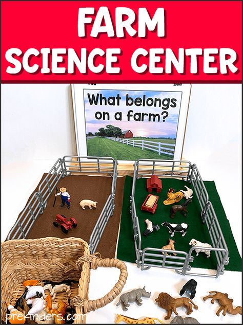 Farm Science Center - PreKinders Farm Unit Kindergarten, Farm Science, Farm Unit Preschool, Science Center Preschool, Farm Animals Activities, Camping Classroom, Animal Lessons, Farm Unit, Environmental Print