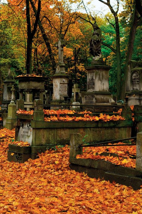 12 of the Most Beautiful Cemeteries Around the World | Mental Floss Salem Cemetery, Southern Cemetery, Creepy Cemetery, Beautiful Cemeteries, Isle Of Iona, Old Cemetery, Cemeteries Photography, Highgate Cemetery, Cemetery Statues