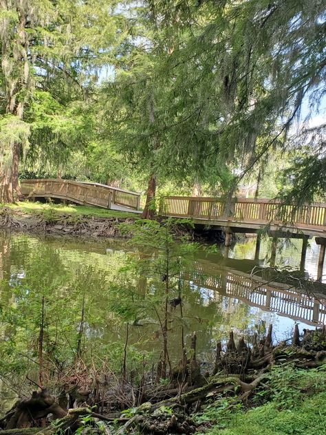 Orangeburg South Carolina, Garden Bridge, South Carolina, Dahlia, Outdoor Structures