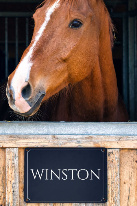 Navy Stable Door Sign Horse Name Plate Personalized Horse Name Plaque Equestrian Horse Lover Gift Metal Horse Stall Sign Ranch Stable Decor Navy personalized horse stall name sign. It's made of metal and has a luxurious feel to it. With it's durable and strong material, it suits both indoor and outdoor use and will last in any weather condition. Allows you to customize the name. The ultimate decor for your stable and the perfect equestrian gift to any horse lover. Horse Stall Sign, Stall Signs, Horse Stall, Metal Horse, Equestrian Aesthetic, Stable Door, Door Inspiration, Farm Ideas, Horse Names