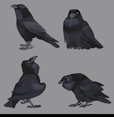 Crow Fursona, Raven Character Design, Raven Drawing, Crow Sitting, Crow Drawing, Crow Design, Crows Drawing, Raven Bird, Crow Art