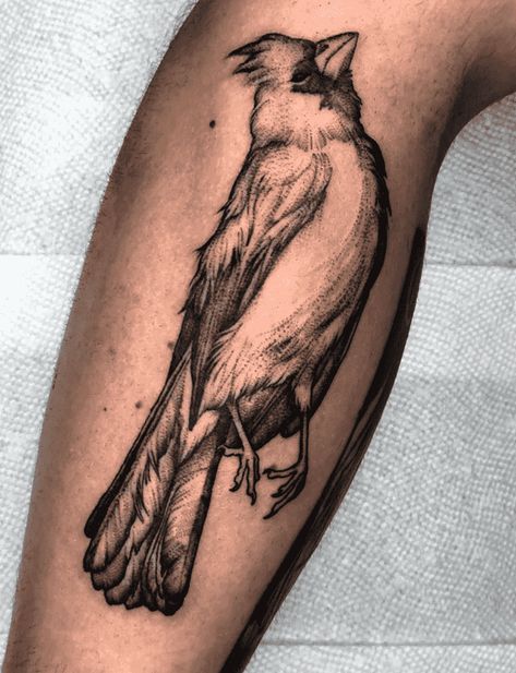 Cardinal Tattoo Design Images (Cardinal Ink Design Ideas) Cardinal Skull Tattoo, Cardinal Tattoo Design, Cardinal Tattoo Ideas, Cardinal Bird Tattoos, Cardinal Tattoo, Cardinal Tattoos, Biblical Tattoos, Back Of Arm Tattoo, Northern Cardinal