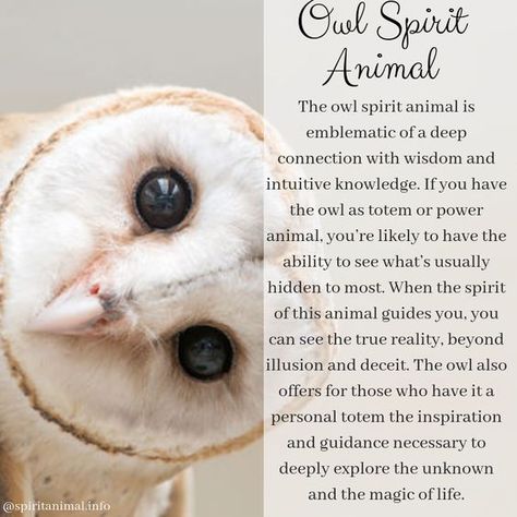 Your Animal Spirit Guide for April 7 is The Owl – Witches Of The Craft® Meaning Of Owls, Owl Spiritual Meaning, Owl Spirit Animal Meaning, Spirit Animal Owl, Animal Totem Spirit Guides, Owl Symbolism, Spirit Animal Meaning, Totem Animals, Animal Meanings