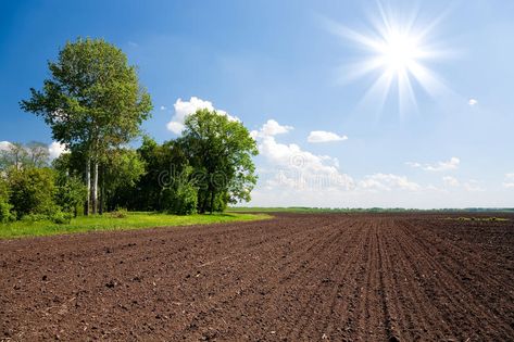 Farm land field. Agriculture plowed field. Farm land #Sponsored , #PAID, #SPONSORED, #land, #Agriculture, #field, #Farm Plowed Field, Farm View, Agriculture Land, Agriculture Photography, Certificate Layout, Bear Drink, Farm Land, Agricultural Land, Farm Field