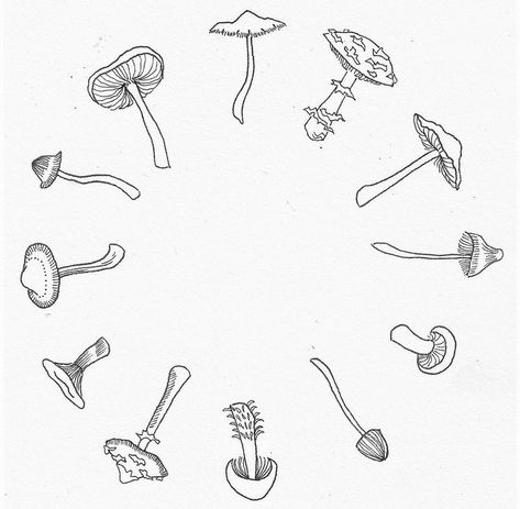 Shock Lock And Barrel, Faerie Tattoo, Cottagecore Tattoo, Mushroom Circle, Fern Tattoo, Garden Tattoos, Face Outline, Circle Tattoo, Mushroom Tattoos