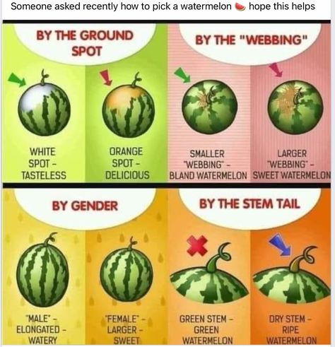 Types Of Watermelon, Sweet Watermelon, Food Info, Food Facts, Useful Life Hacks, Fruits And Veggies, Food Hacks, Cooking Tips, Cooking And Baking